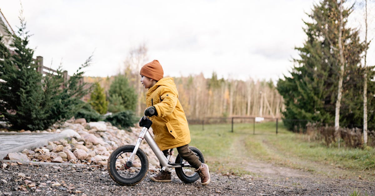 découvrez les avantages de la balance bike ! parfaite pour initier les enfants à l'équilibre et à la mobilité, cette bicyclette sans pédales favorise le développement de leurs compétences motrices tout en s'amusant. idéale pour les tout-petits.