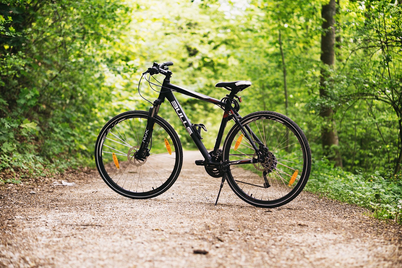 découvrez notre sélection de roues pour draisiennes, parfaites pour assurer sécurité et stabilité à votre enfant tout en favorisant son apprentissage de l'équilibre. idéales pour les jeunes aventuriers, nos roues sont conçues pour durer et s'adapter à tous les terrains.