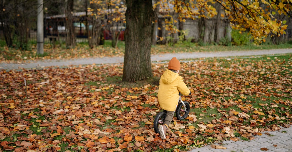 découvrez les vélos d'équilibre, parfaits pour initier les enfants au plaisir de faire du vélo tout en développant leur équilibre et leur coordination. idéal pour les petits aventuriers en herbe!