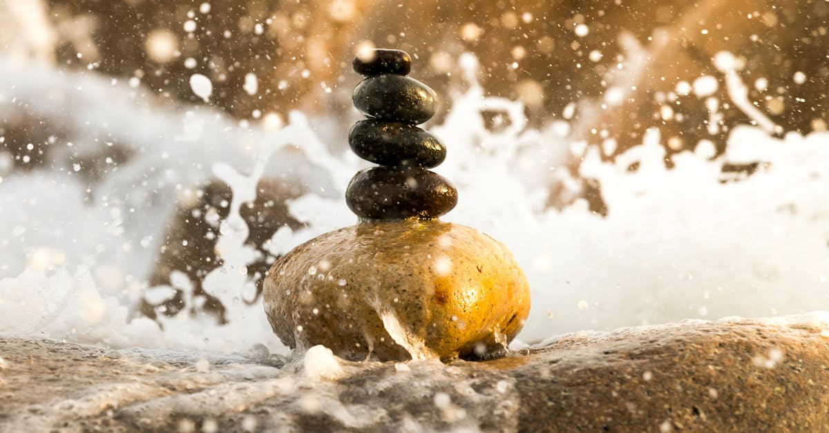 découvrez l'importance de la balance dans notre vie quotidienne, que ce soit pour maintenir un équilibre physique, émotionnel ou même financier. explorez des conseils pratiques et des méthodes pour atteindre l'harmonie et le bien-être.