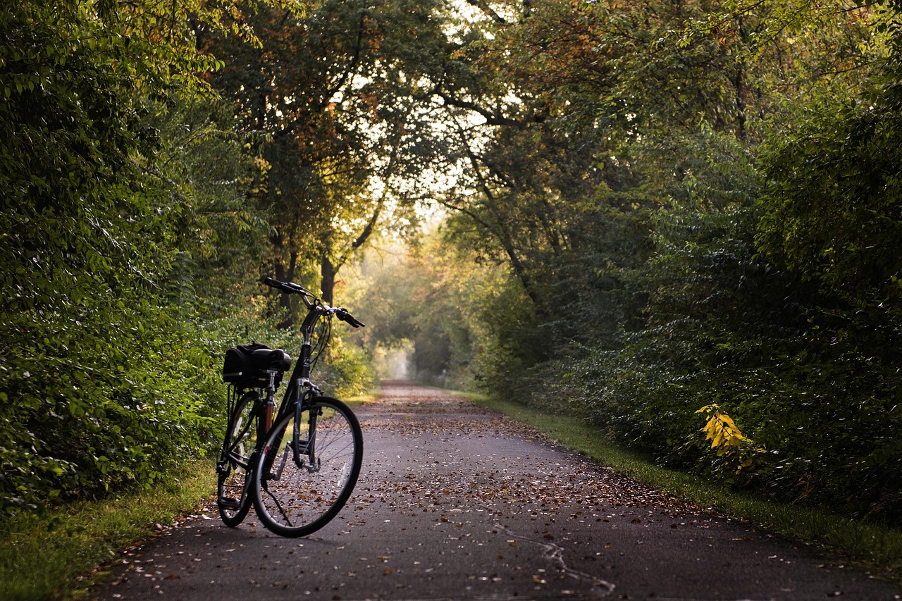 découvrez l'univers des vélos d'équilibre, idéaux pour aider les enfants à développer leur équilibre et leur coordination tout en s'amusant. parfaits dès 2 ans, ces vélos sans pédales favorisent l'apprentissage de la bicyclette en toute sécurité.