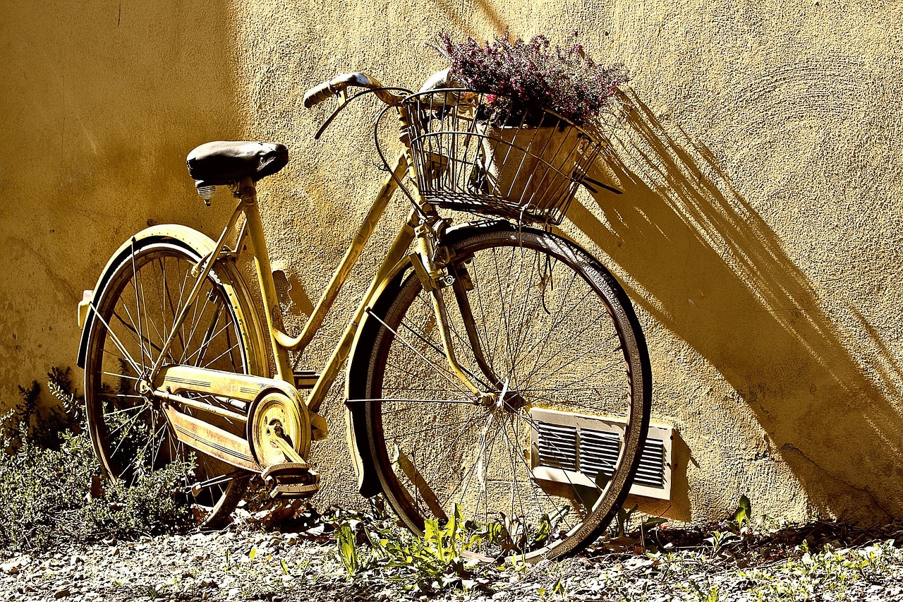 découvrez nos roues pour draisiennes, parfaites pour offrir stabilité et confort à votre enfant lors de ses premières aventures à vélo.