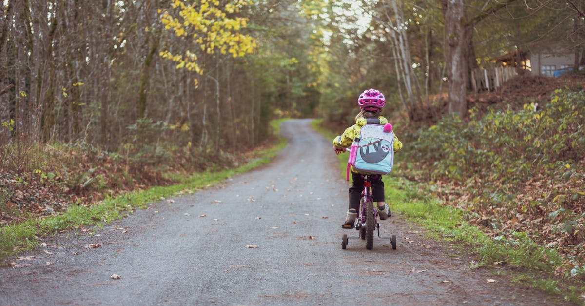 découvrez notre sélection de draisiennes d'occasion de qualité, parfaites pour aider les enfants à développer leur équilibre et leur confiance. offrez-leur une expérience d'apprentissage amusante tout en faisant un bon geste pour l'environnement.