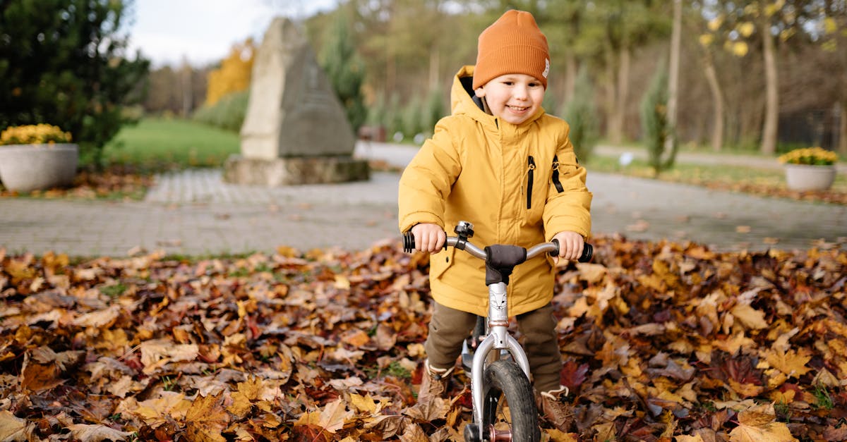 découvrez le plaisir de la mobilité pour les tout-petits avec notre sélection de draisiennes. offrez à votre enfant une expérience d'apprentissage ludique et sécurisée, favorisant l'équilibre et la confiance tout en s'amusant. idéale pour les enfants de 18 mois à 5 ans.