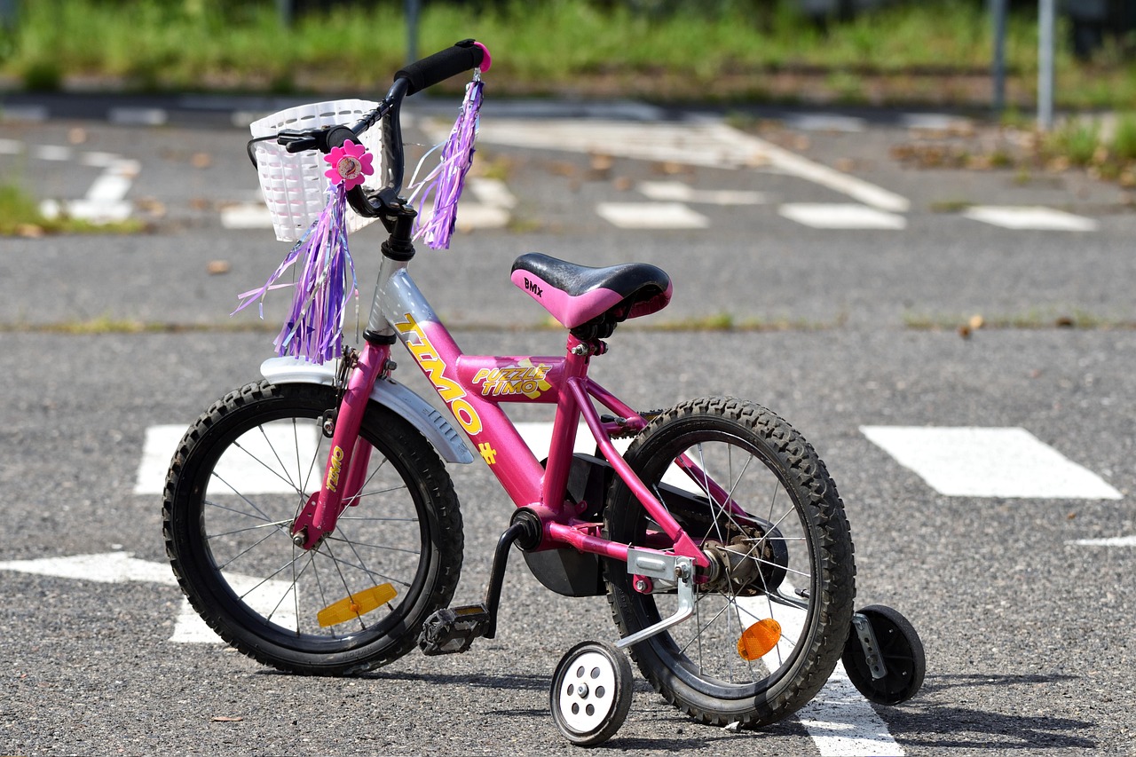 découvrez notre sélection de draisiennes, idéales pour apprendre l’équilibre dès le plus jeune âge. léger, sécurisé et adapté aux enfants, le balance bike accompagne les premiers pas vers le vélo traditionnel.